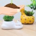ENJOY Cute Hippo Succulent Pots With Drainage Resin Mini Flower Pot Garden Plants Vase Desk Flower Decoration   
